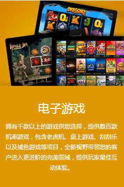 ng接口电子游戏