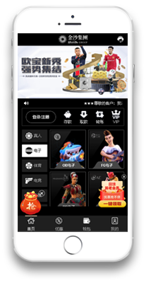 NG演示new手机模板4